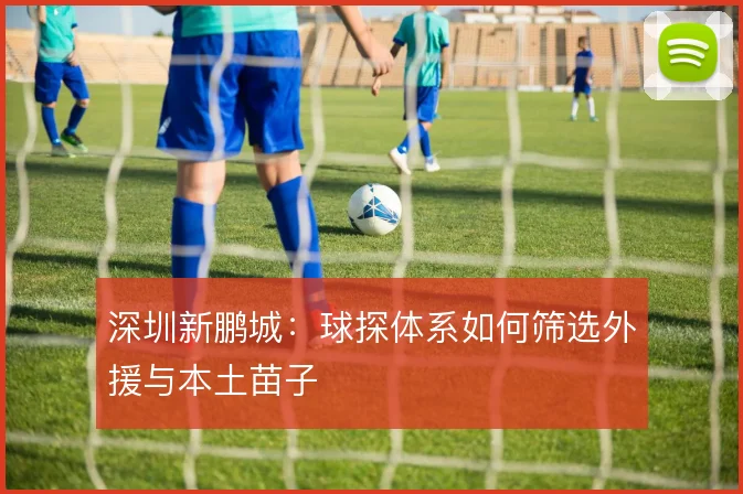 深圳新鹏城：球探体系如何筛选外援与本土苗子