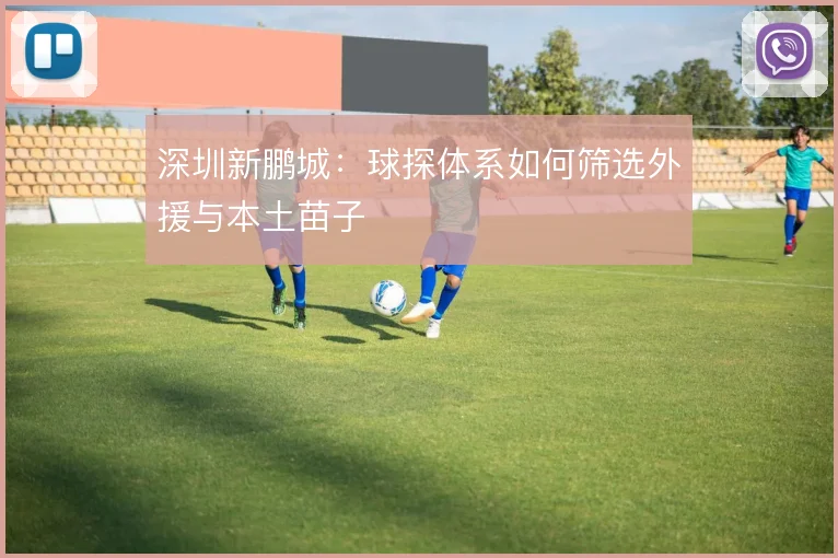 深圳新鹏城：球探体系如何筛选外援与本土苗子